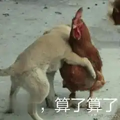  刀圈二三事盘点major期间各种流行梗dc老师再次求爱沐沐