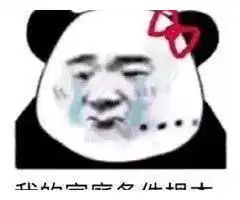  两开花熊猫头更新期末考试焦头烂额表情包