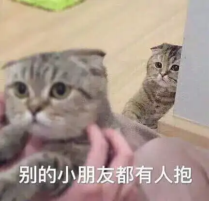  失眠
