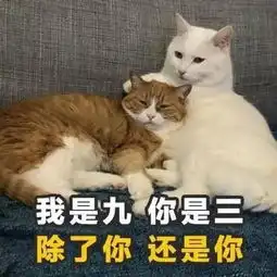  微信表情包土味情话,了解一下