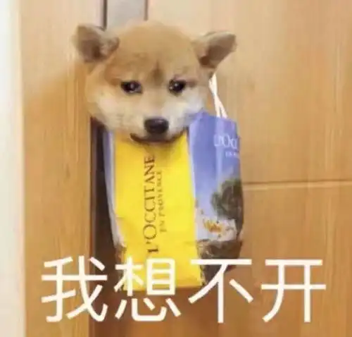  网恋被骗是一种什么体验