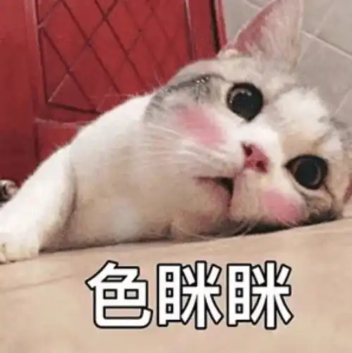  doki可爱问