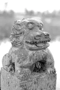  湘湖边发现一伙表情包狮子小耳朵塌鼻子丑萌丑萌的