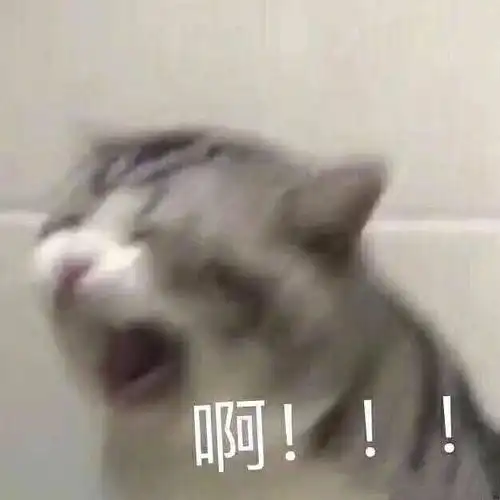  今天南京也冷了
