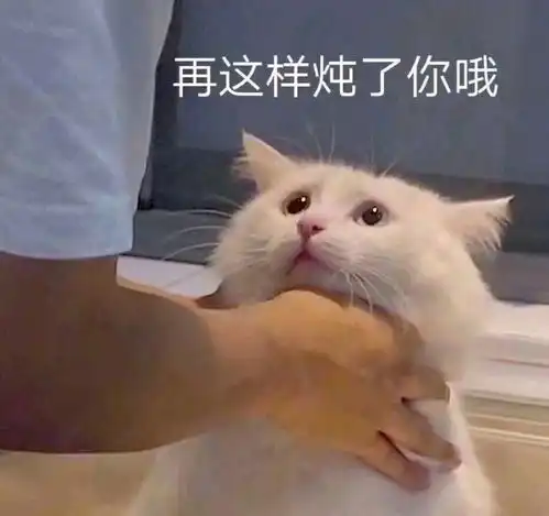  非理性怀疑论史观批判