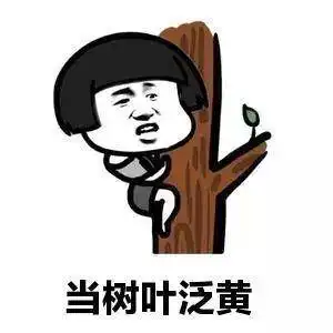 蘑菇头搞笑表情开心一笑