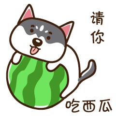  二哈微信表情第一弹