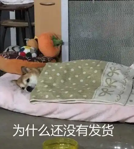  表情包滚筒洗衣机式哭泣