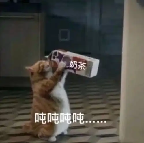  贫民窟大学生如何get平价美白身体乳