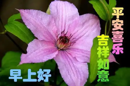 心痛表情包动态图片暴雨