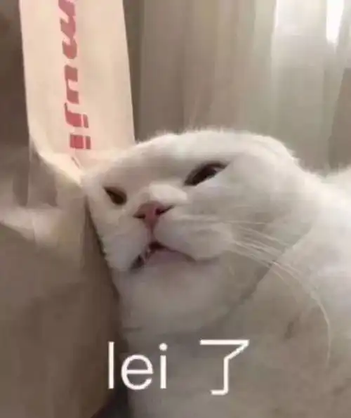 huh猫表情包动图欠打
