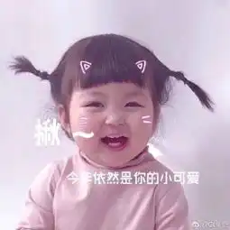  罗熙表情包