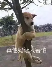  不带ta们,你到英国的第一周会很惨