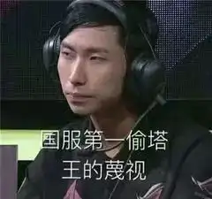  有没有王者荣耀表情包