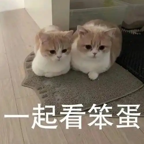 我麻了表情包图片高清猫