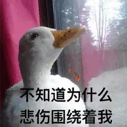  暴雪天气房屋如何维护做足这些功课让爱屋安全过冬