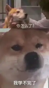  真嗨表情包试卷校长带全校小学生跳鬼步舞,宾阳网友评论亮了