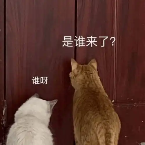  陈都灵的回眸一笑,大概就是被上帝吻过的模样