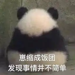  任性梅姑娘,狂风暴雨雷电一个都不少小暑君我悄悄地来了