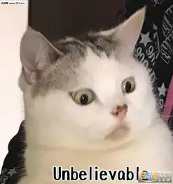  让我看看你是个什么垃圾表情包图片让我睡一晚表情包下载乐游网游戏下载