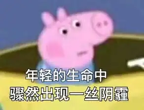  网红界一股粉色泥石流,为粉红色吹风机疯狂打call圣安国际教育