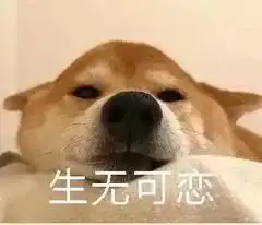  黄色预警红色预警扬州已进入多发季节,这两天早晚务必当心