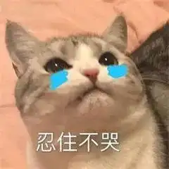  专升本信息采集怎么做如何才能拍出漂亮的照片带你解决信息采集4大难题