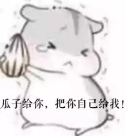  小奶狗睡觉时竟抱着这玩意,铲屎官笑出声,天生的守财奴啊