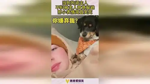  当狗狗舔主人,不料被主人故意躲避,那小表情简直笑死