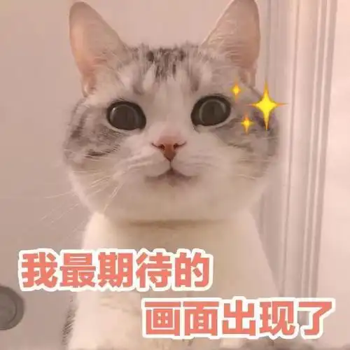  哇,可爱猫咪表情包来了,喜欢猫咪的快来收图,萌得我一塌糊涂