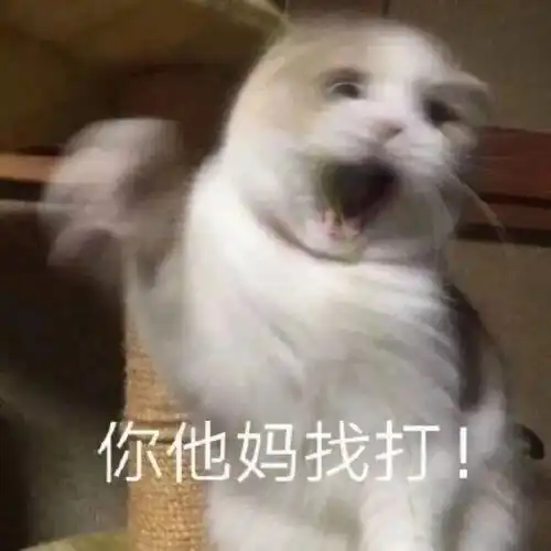  表情包兄弟你被烤了