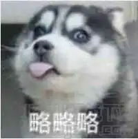  腾讯专区最新软件订阅jz5u绿色下载站