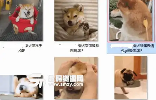  柴犬双手交叉表情包下载非常治愈高清版