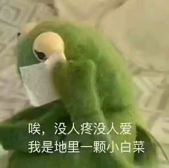  找找找一个双排小伙伴