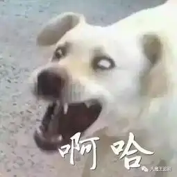  不烂尾不狗血的高分神剧,真是好看得让人泪流满面啊