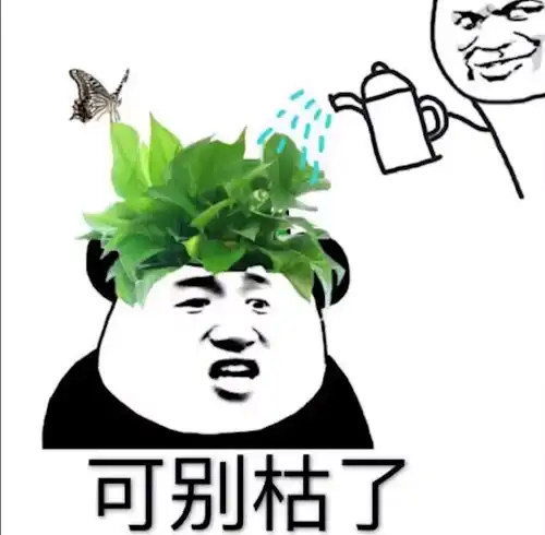  半佛老师视频里面的表情包无水印