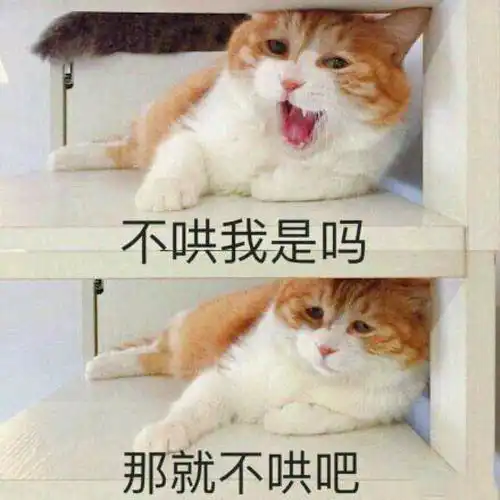  刚刚进组,选管理员可以这样拉票啊