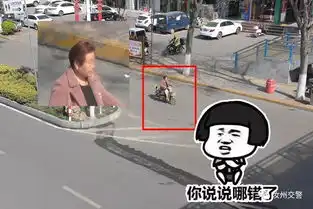  曝光任性的非机动车和行人附送精美表情包