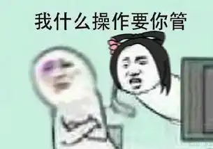  荣耀周报王昭君变成了移动冰箱天美免费送玩家特效四件套