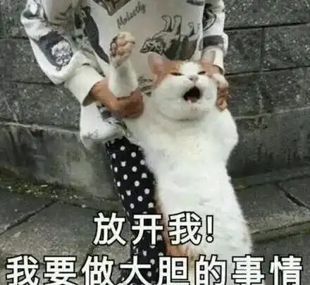 网恋选我我超甜表情包奥
