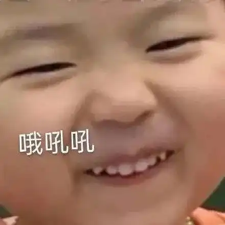  表情包美少女的疑惑