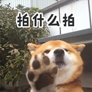  114张拍一拍表情包微信拍一拍表情包谁在拍我