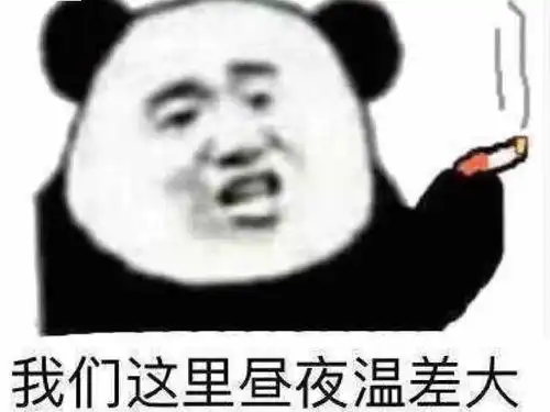  阳光暖暖,气温上升