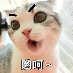  表情包我躺好了,你来吧