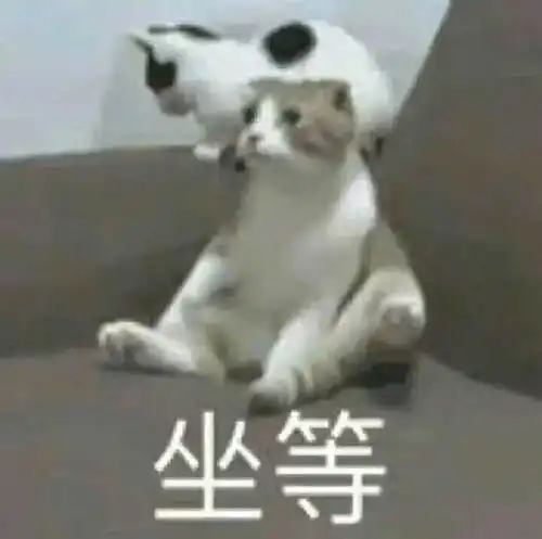  小坊上潮微信拍一拍能撤回了但有个重要前提