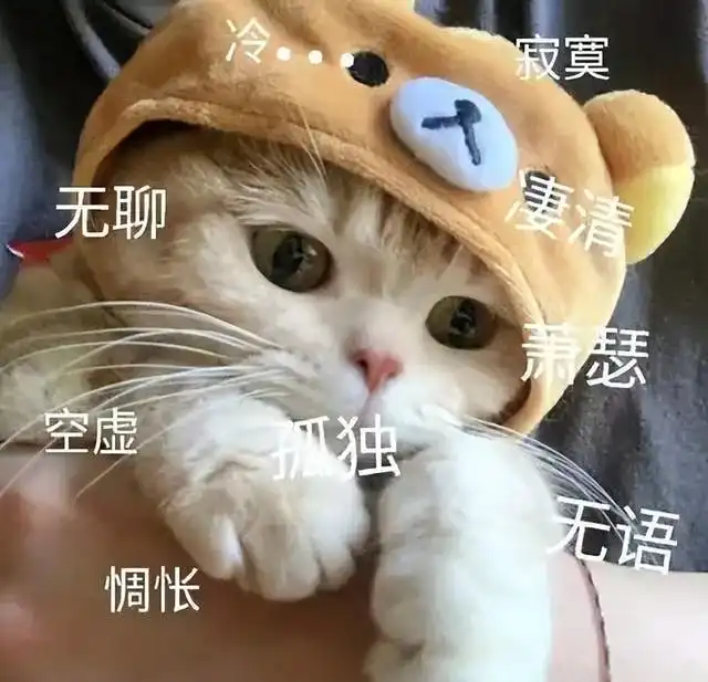  中小学生马上开学,是交作业还是焦头烂额