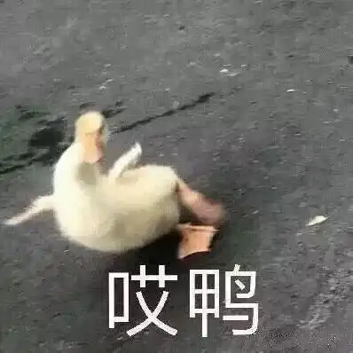  阴雨绵绵的日子又来了