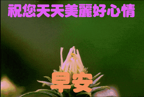  最新大家早上好问好动态表情图片早上问好漂亮的图片