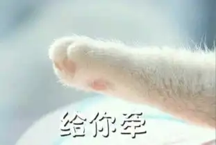 猫爪牵手表情包全套共识