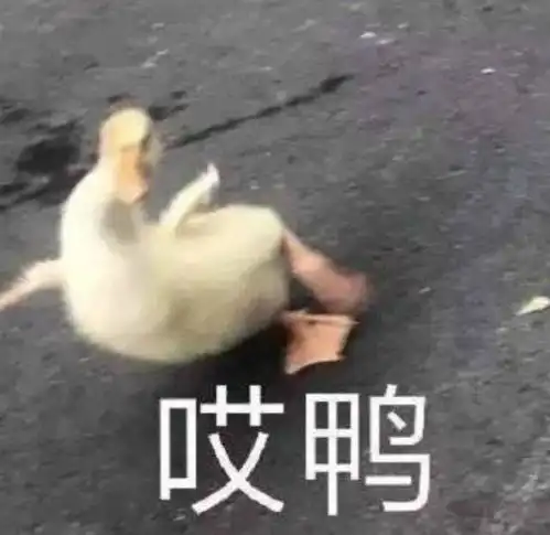 表情包鸭鸭沙雕